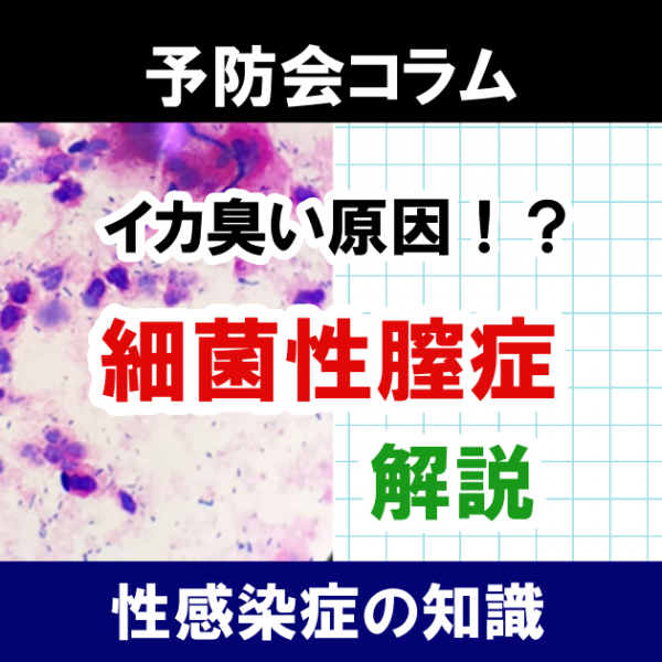 イカ臭い原因！？これが謎の病気、細菌性腟症だ！！