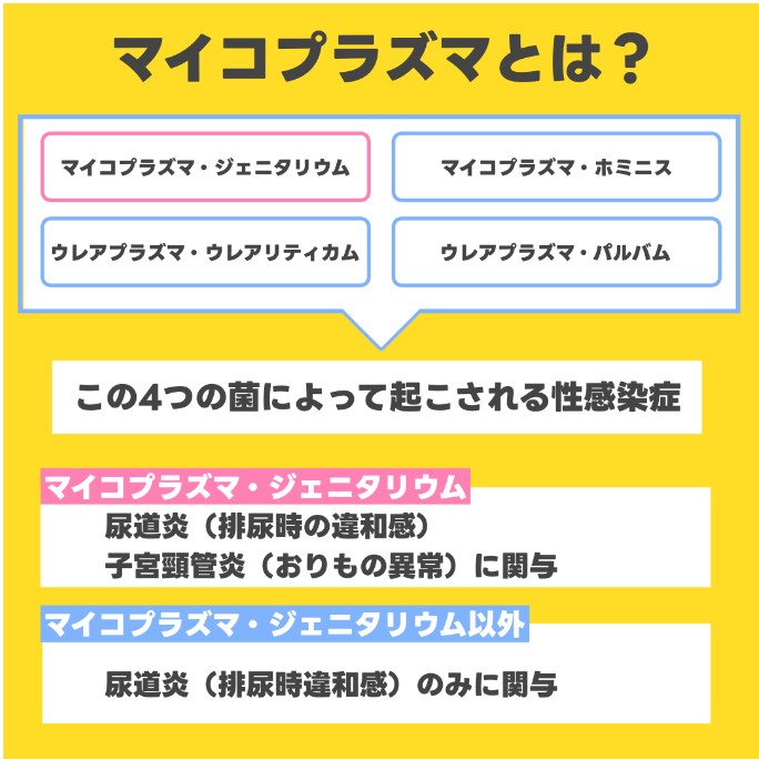 卒業検査【まとめて安心セット】/16項目